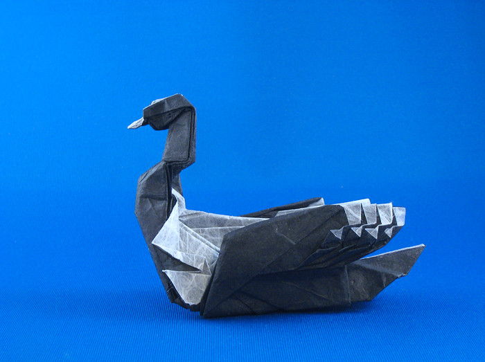 Origami Common loon by Artur Biernacki. Folded by Gilad Aharoni on giladorigami.com