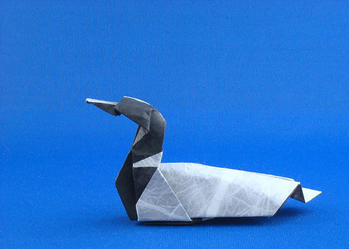 Origami Common loon by Joseph Wu. Folded from a square of double-sided Unryu paper by Gilad Aharoni on giladorigami.com