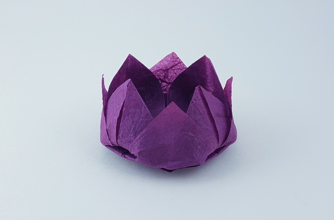 Origami Water lily by Traditional. Folded by Gilad Aharoni on giladorigami.com