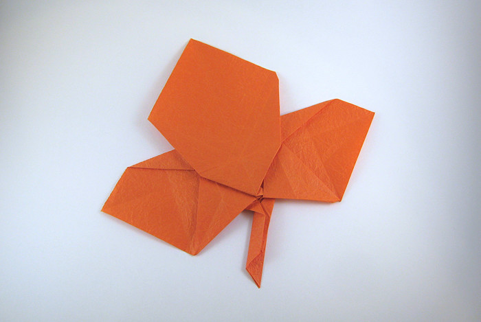 Origami Maple leaf by Peter Engel. Folded from a square of Vietnamese wrapping-paper by Gilad Aharoni on giladorigami.com