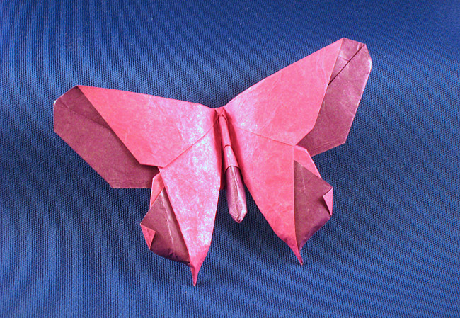 Origami Butterfly - Michael Shall by Michael G. LaFosse. Folded from a square of Kathy Stevick's tissue-foil by Gilad Aharoni on giladorigami.com