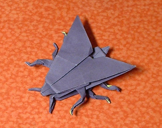 Origami Moth by John Montroll. Folded from a square of origami paper by Gilad Aharoni on giladorigami.com