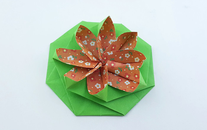 Origami Nymphaea by Meenakshi Mukerji. Folded from a square of duo origami paper by Gilad Aharoni on giladorigami.com