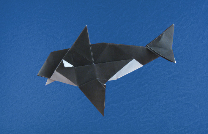 Origami Orca by Fernando Gilgado Gomez. Folded from a square of origami paper by Gilad Aharoni on giladorigami.com