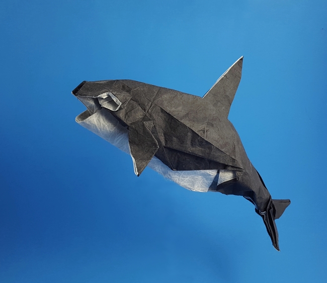 Origami Orca by Satoshi Kamiya. Folded by Gilad Aharoni on giladorigami.com