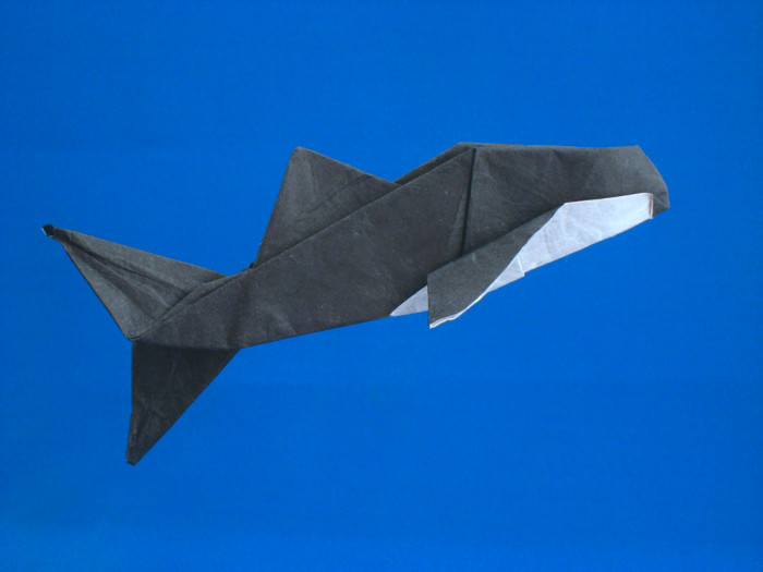 Origami Killer whale by Kunihiko Kasahara. Folded from a square of double-sided unryu paper by Gilad Aharoni on giladorigami.com