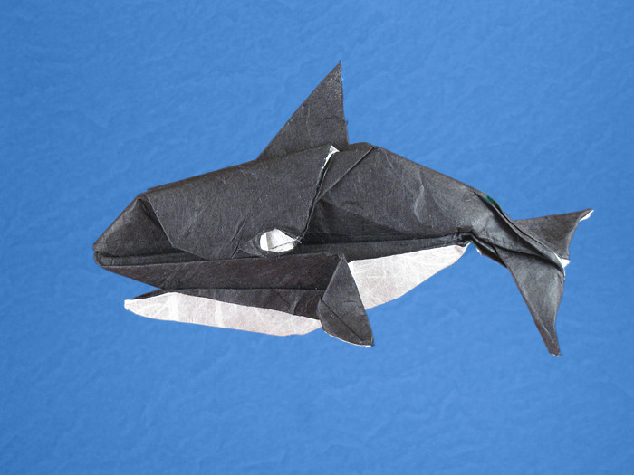 Origami Killer whale by Robert J. Lang. Folded by Gilad Aharoni on giladorigami.com