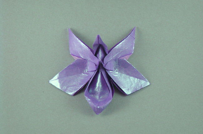 Origami Anne's orchid by Michael G. LaFosse. Folded by Gilad Aharoni on giladorigami.com