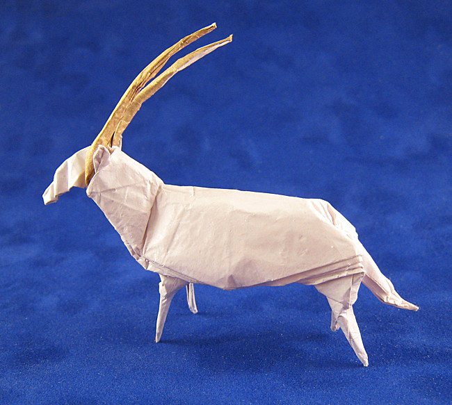 Origami Arabian Oryx by Ronald Koh. Folded by Gilad Aharoni on giladorigami.com