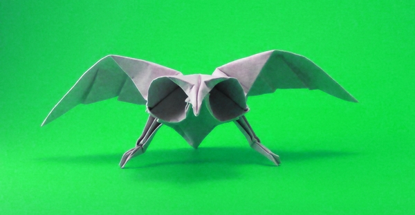 Origami Owl by Jyh-Chang Su. Wet-folded from a square of cardstock by Gilad Aharoni on giladorigami.com