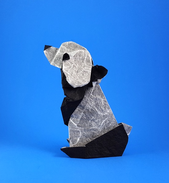 Origami Panda by Zsolt Sebok. Folded from a square of Duo Thai paper by Gilad Aharoni on giladorigami.com