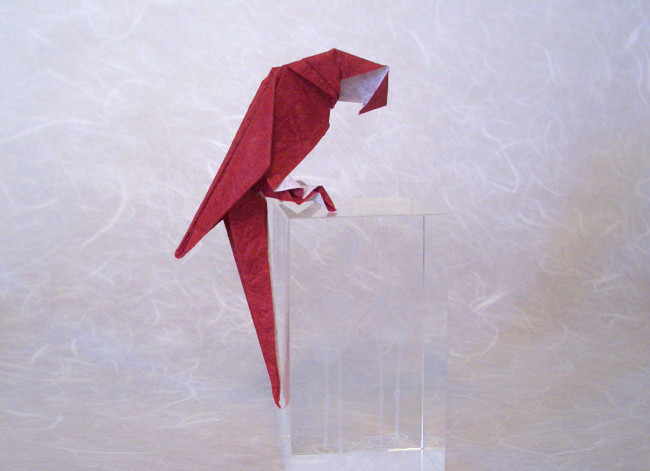Origami Scarlet macau by Ashimura Shun'ichi. Folded from a square of momigami by Gilad Aharoni on giladorigami.com