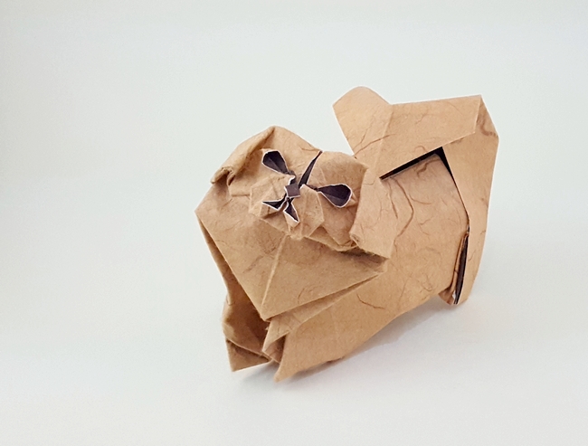 Origami Pekingese by Meng Weining (212moving). Folded from a square of double-sided mulberry by Gilad Aharoni on giladorigami.com
