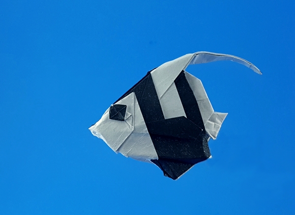 Origami Pennant coralfish by Tsuruta Yoshimasa. Folded from a square of Duo sandwich paper tissue-foil by Gilad Aharoni on giladorigami.com