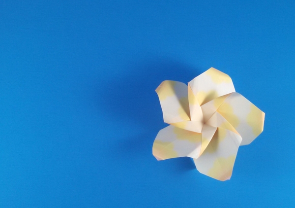Origami Plumeria by Michael G. LaFosse. Folded from 5 squares of Jong Ie Nara Crane Folding Paper by Gilad Aharoni on giladorigami.com