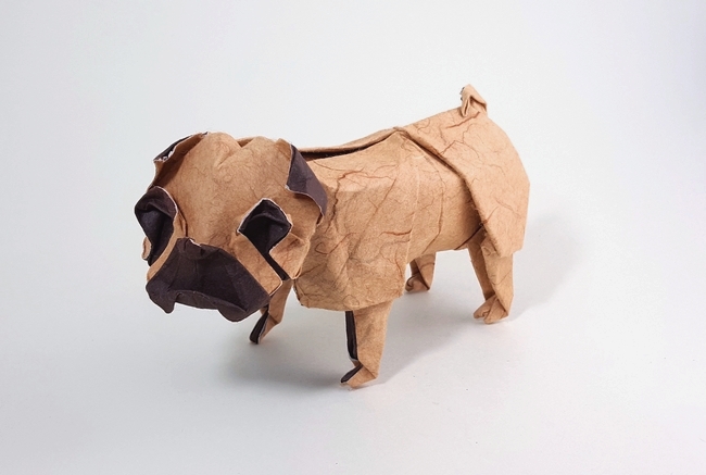 Origami Pug by Yoo Tae Yong. Wet folded from a square of dobule sided mulberry paper by Gilad Aharoni on giladorigami.com