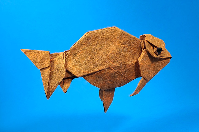Origami Goldfish - Ranchu by Ronald Koh. Folded from a square of Duo Thai origami paper by Gilad Aharoni on giladorigami.com