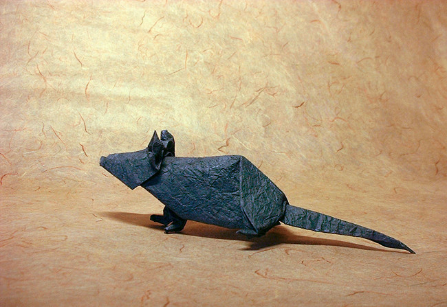 Origami Rat by John Montroll. Folded from a square of rice paper by Gilad Aharoni on giladorigami.com