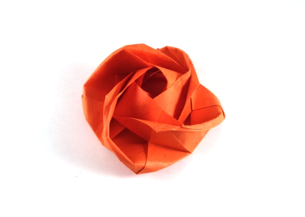 Origami Rose by Evi Binzinger. Folded from a square of textured origami paper by Gilad Aharoni on giladorigami.com