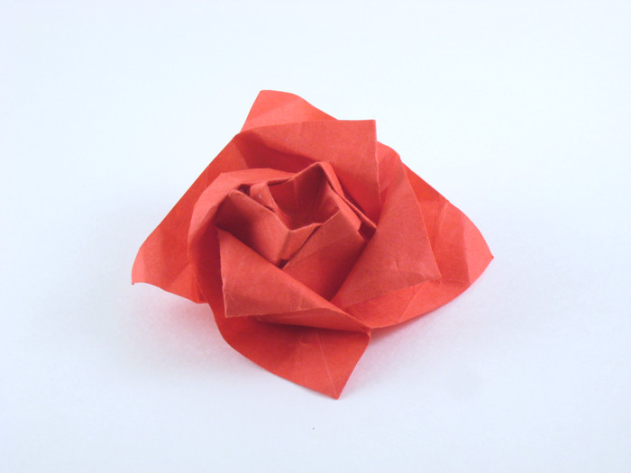 Origami Rose - Makoto by Makoto Yamaguchi. Folded by Gilad Aharoni on giladorigami.com