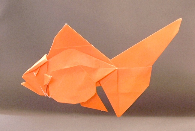 Origami Goldfish - Ryukin by Ronald Koh. Folded from a square of origami paper by Gilad Aharoni on giladorigami.com