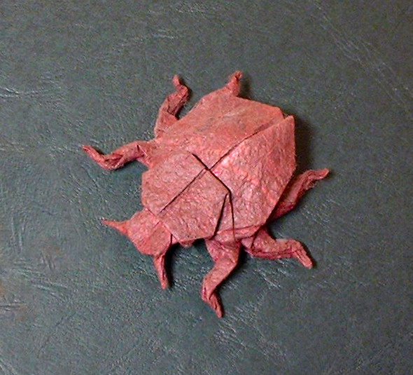 Origami Scavenger beetle by John Montroll. Folded from a square of rice paper by Gilad Aharoni on giladorigami.com