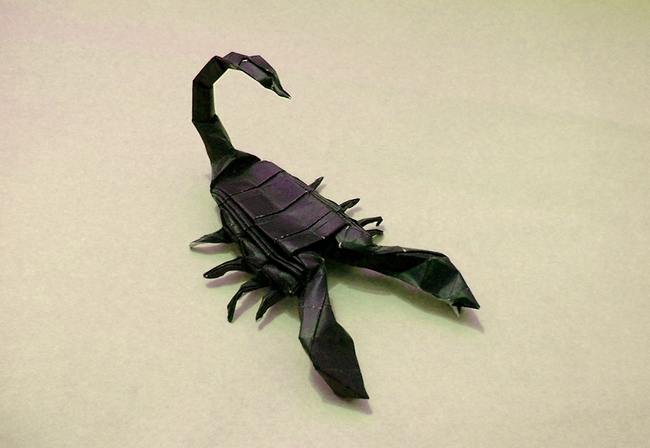 Origami Scorpion by Lionel Albertino. Folded from a square of origami paper by Gilad Aharoni on giladorigami.com