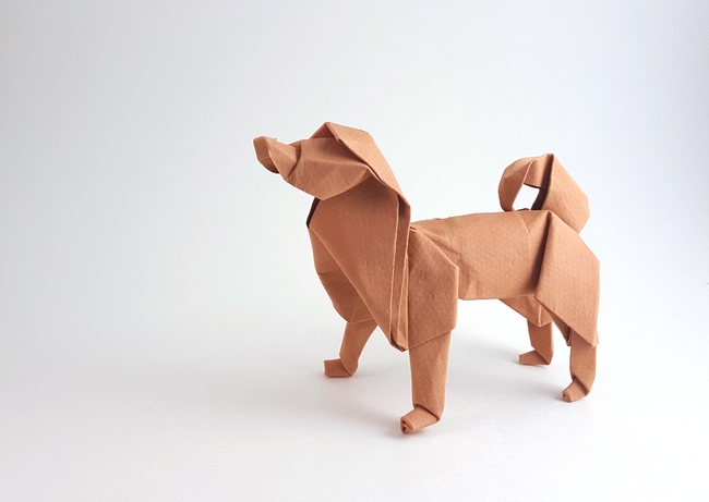 Origami Sakhalin husky by Akira Yoshizawa. Wet folded from 2 squares of Canson art paper by Gilad Aharoni on giladorigami.com