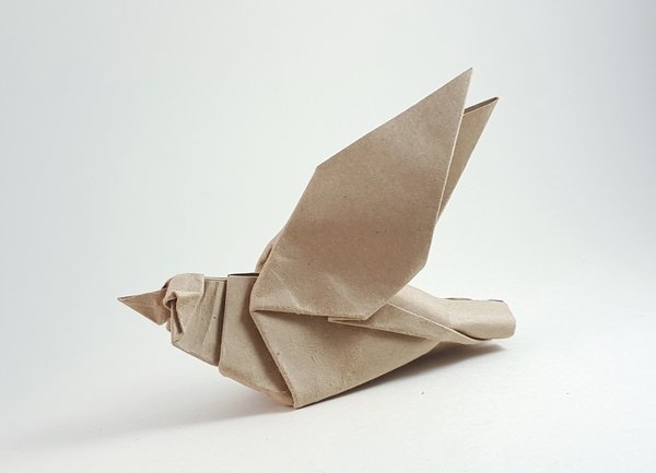 Origami Sparrow by Seth M. Friedman. Folded from a square of cardstock by Gilad Aharoni on giladorigami.com