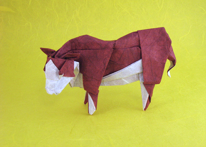 Origami Hereford steer by Roman Diaz. Wet-folded from a square of double-sided Unryu paper by Gilad Aharoni on giladorigami.com