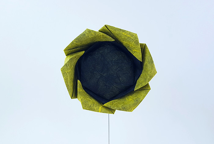 Origami Sunflower by Yara Yagi. Folded from a hexagon of Duo Thai paper by Gilad Aharoni on giladorigami.com