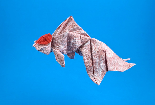 Origami Goldfish - Tancho Oranda by Ronald Koh. Folded by Gilad Aharoni on giladorigami.com