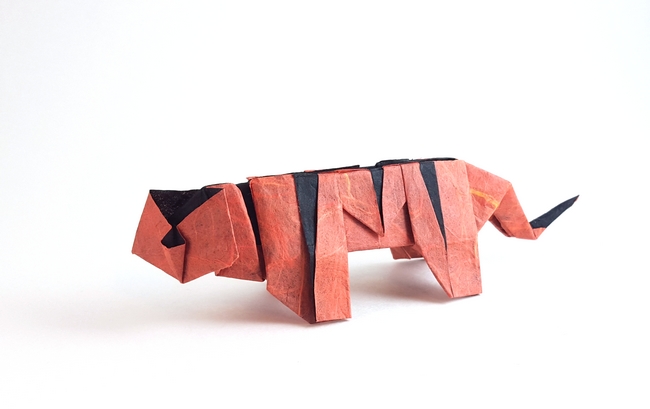 Origami Tiger by Seiji Nishikawa. Folded from a square of double-sided Unryu paper by Gilad Aharoni on giladorigami.com