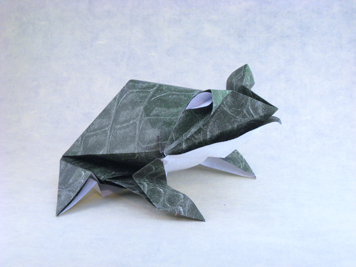 Origami Toad by Roman Diaz. Folded from a square of Safari Prints Fadeless paper by Gilad Aharoni on giladorigami.com
