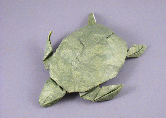 Origami Turtle by Gerard Ty Sovann. Folded by Gilad Aharoni on giladorigami.com