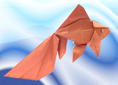 Origami Goldfish - Veiltail by Ronald Koh. Folded from a square of gold wrapping paper by Gilad Aharoni on giladorigami.com