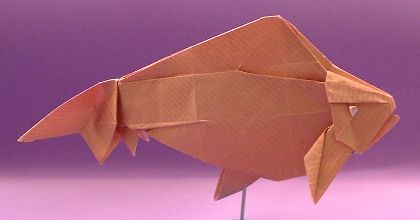 Origami Goldfish - Wakin by Ronald Koh. Folded from a square of gold wrapping-paper by Gilad Aharoni on giladorigami.com