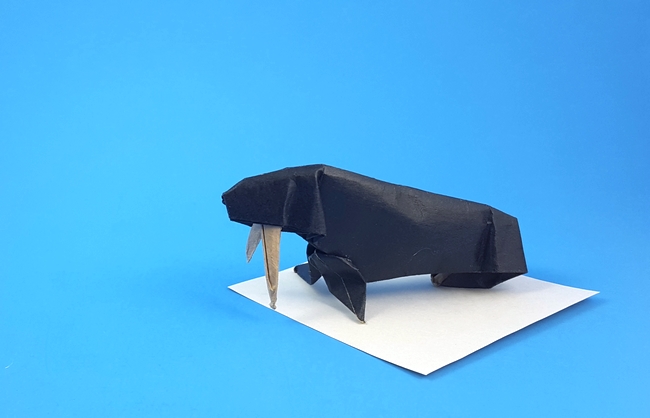Origami Walrus by Martin Wall. Folded from a rectangle of wrapping paper by Gilad Aharoni on giladorigami.com