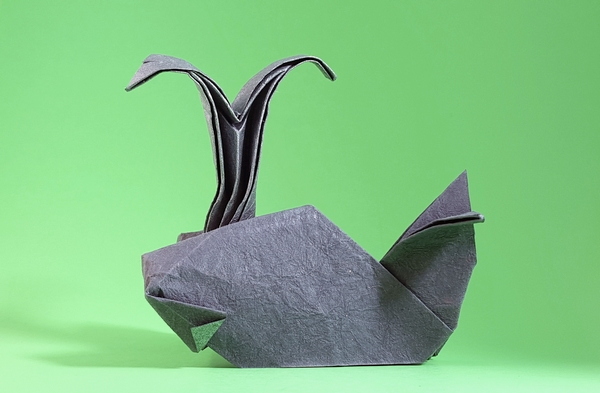 Origami Whale with spout by Xin Can (Ryan) Dong. Folded by Gilad Aharoni on giladorigami.com