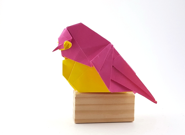 Origami Japanese white-eye by Tsuruta Yoshimasa. Folded by Gilad Aharoni on giladorigami.com