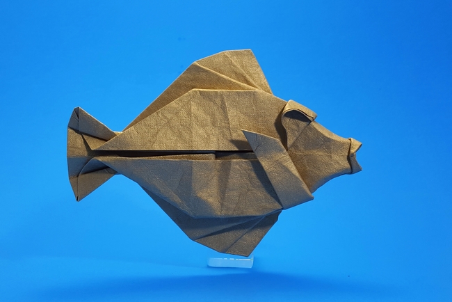 Origami Yellow tang for Mariko by Michael G. LaFosse. Folded by Gilad Aharoni on giladorigami.com