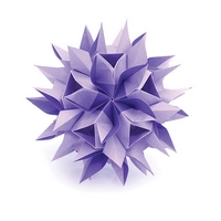 Origami Radiant flower by Ekaterina Lukasheva on giladorigami.com