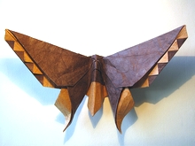Origami Butterfly - Robert Lang by Michael G. LaFosse on giladorigami.com