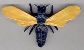 Origami Escolia by Manuel Sirgo on giladorigami.com