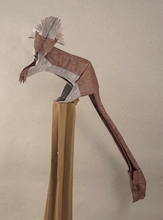 Origami Cottontop by Kunsulu Jilkishiyeva on giladorigami.com