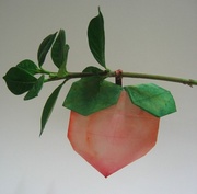 Origami Peach by Seo Won Seon (Redpaper) on giladorigami.com