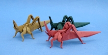 Origami Longheaded locust by Atsunori Muraki on giladorigami.com
