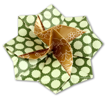 Origami Flower by Evi Binzinger on giladorigami.com