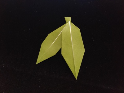 Origami Bamboo grass by Fukuoka Chiyo on giladorigami.com