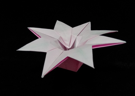 Origami Basket - star by Gillian Buchanan on giladorigami.com